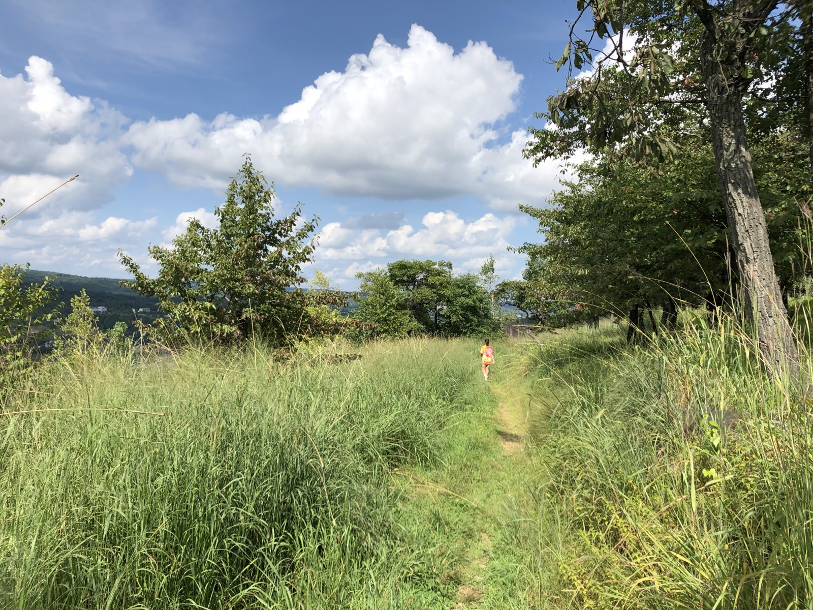 A bike ride and a hike, August 12