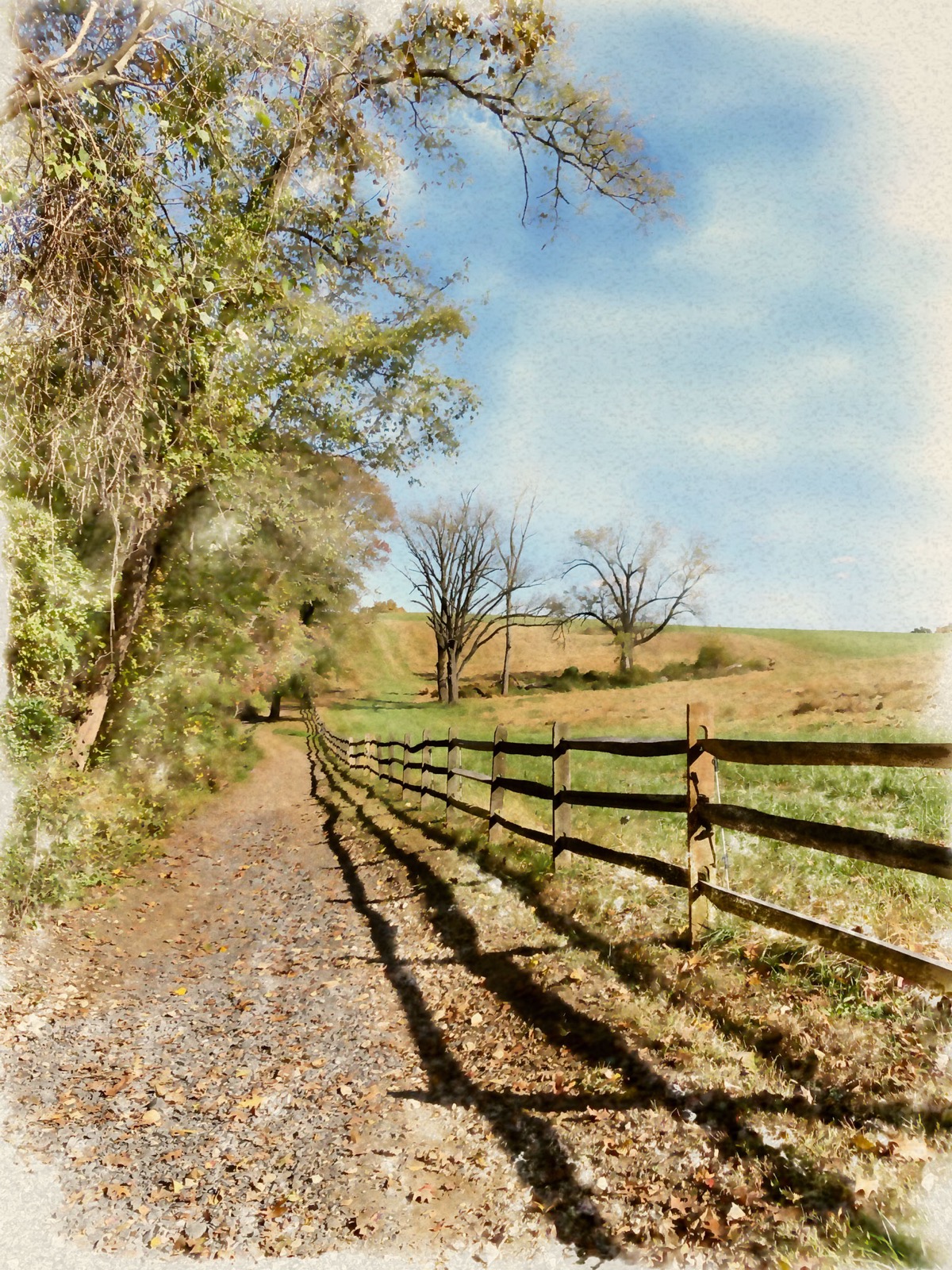 Along Pennypack Creek