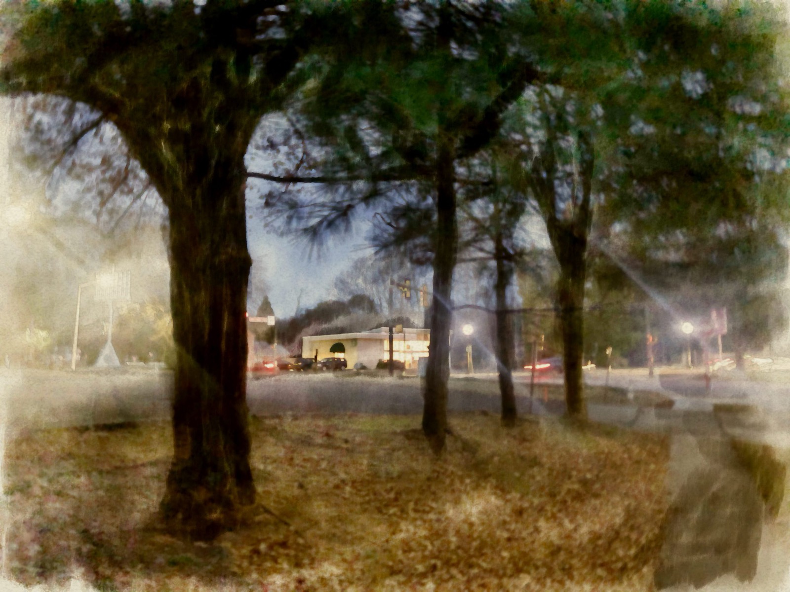 Writing Tasks, and my morning walk images