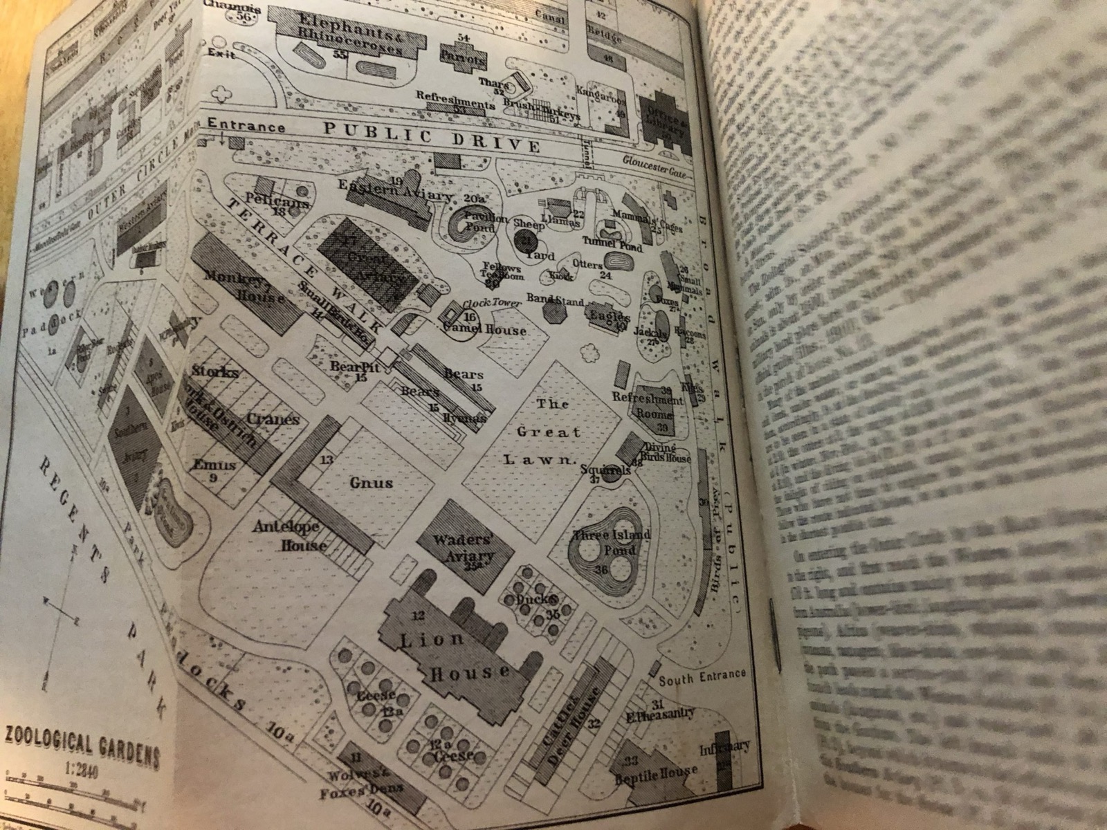 Baedeker's Guide is easier to read using google books.