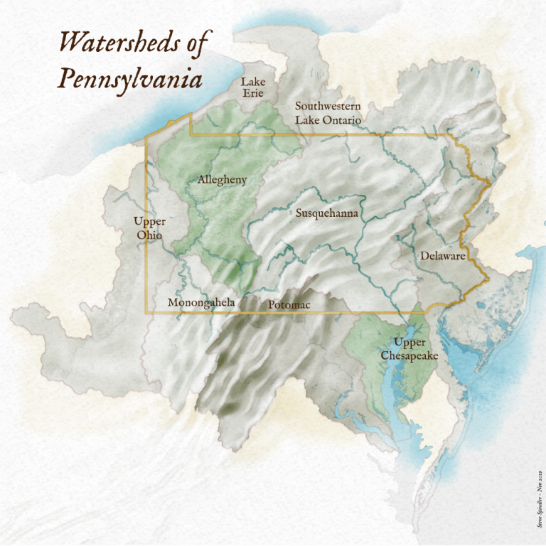 Pennsylvania S Watersheds Extend In Many Directions Steve Spindler   Watersheds Of PA 768x768 